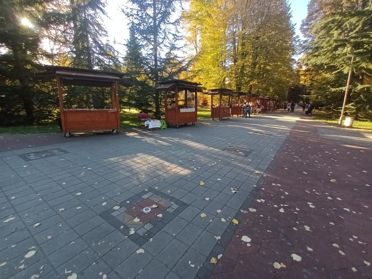 Apartman Lavanda Баня-Ковиляча Экстерьер фото